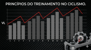 Leia mais sobre o artigo Princípios do Treinamento no Ciclismo